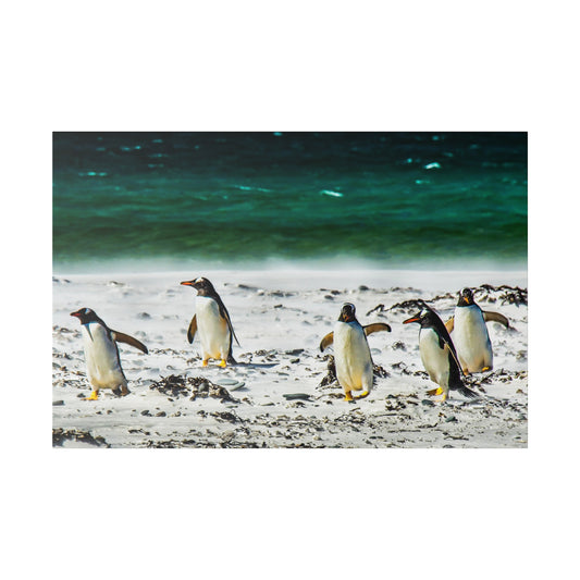 A group of penguins near the shore, walking on sand with the green-blue ocean behind them. The peaceful scene captures the essence of their habitat.