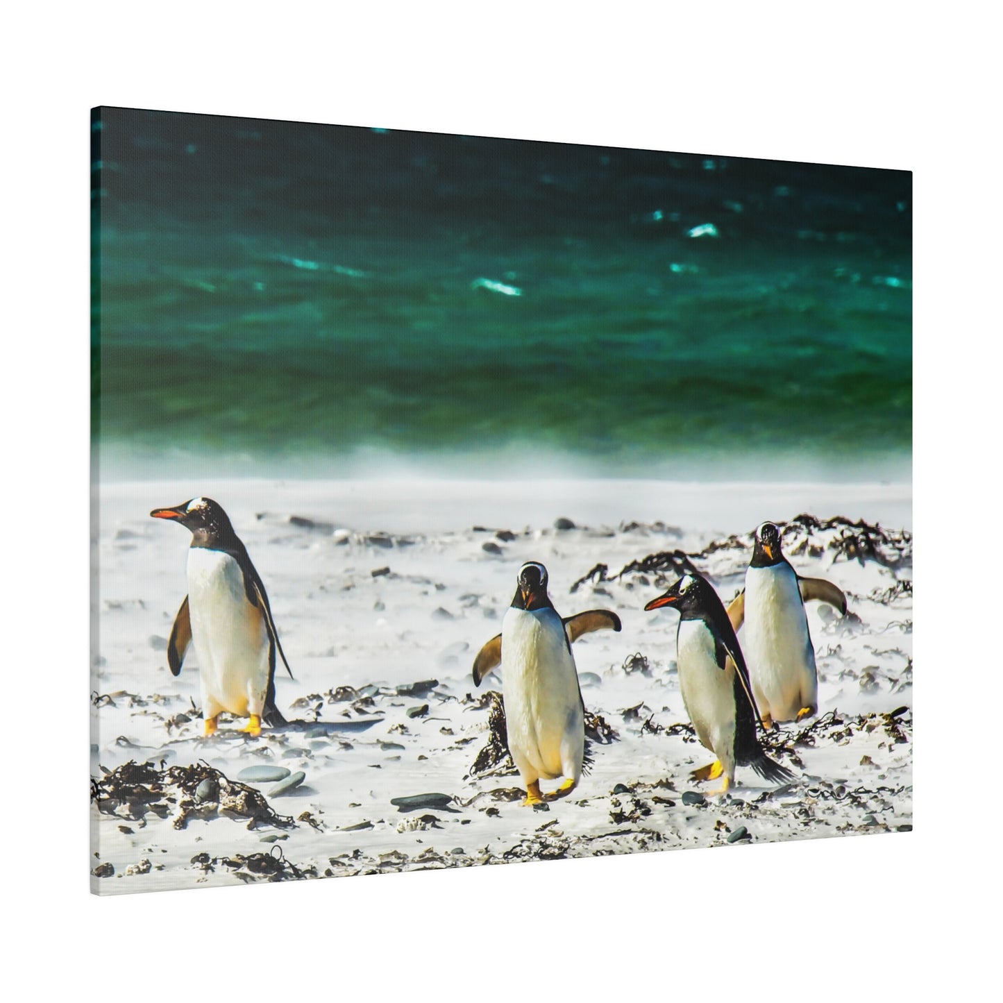 A group of penguins walking on a sandy beach near the ocean, with the green-blue sea in the background. The penguins are in a natural, serene setting.