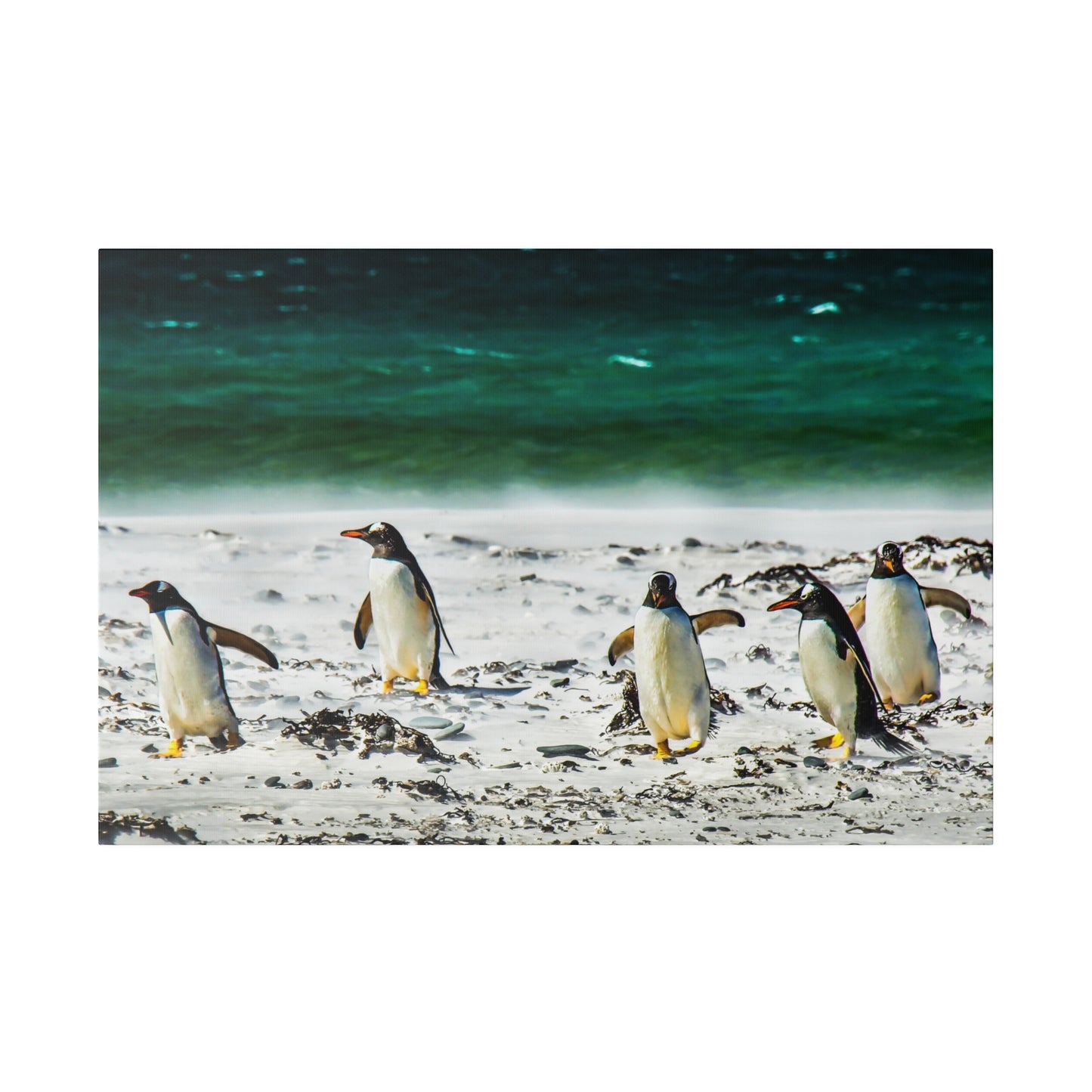 A group of penguins with a view of the sea, walking on white sand with the vibrant green-blue ocean behind them. The scene is tranquil and picturesque.