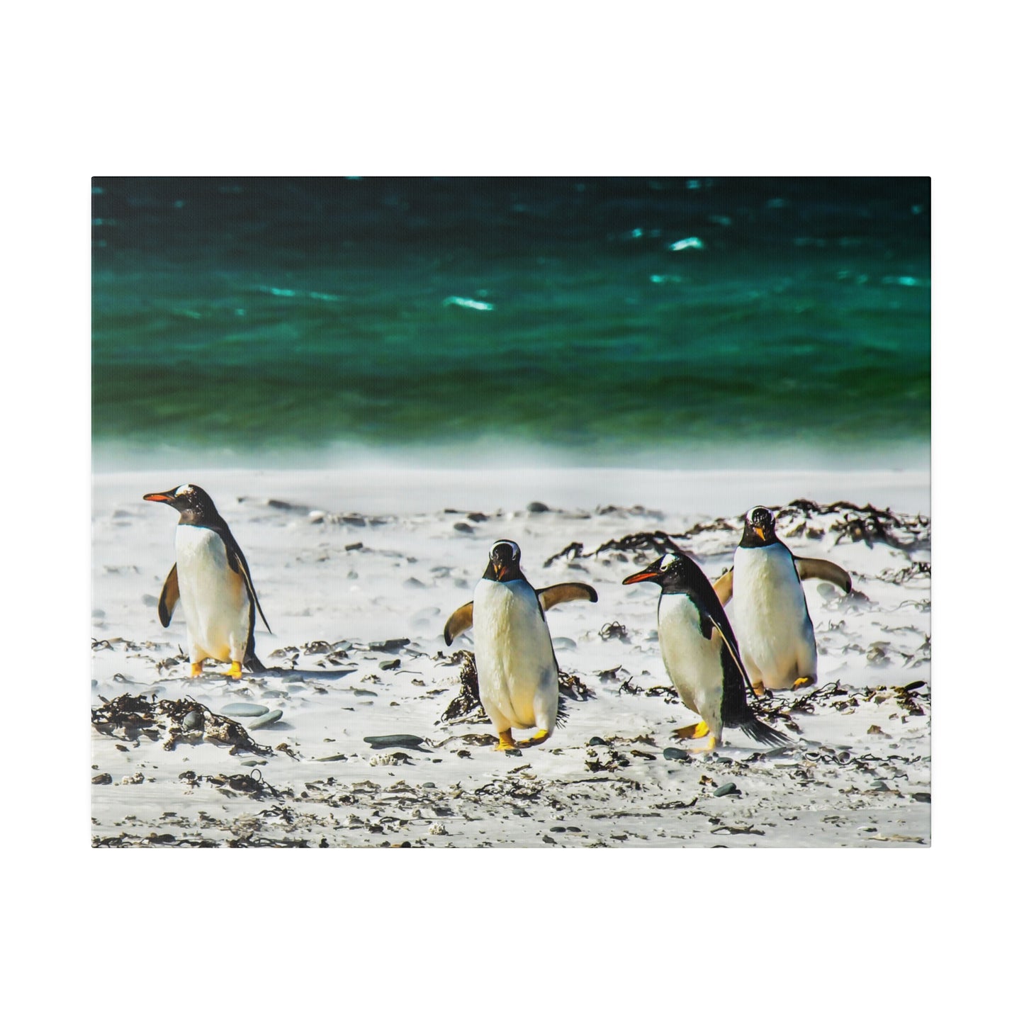 A group of penguins walking on a sandy beach, with the green-blue ocean in the background. The peaceful setting showcases these seabirds in their natural habitat.