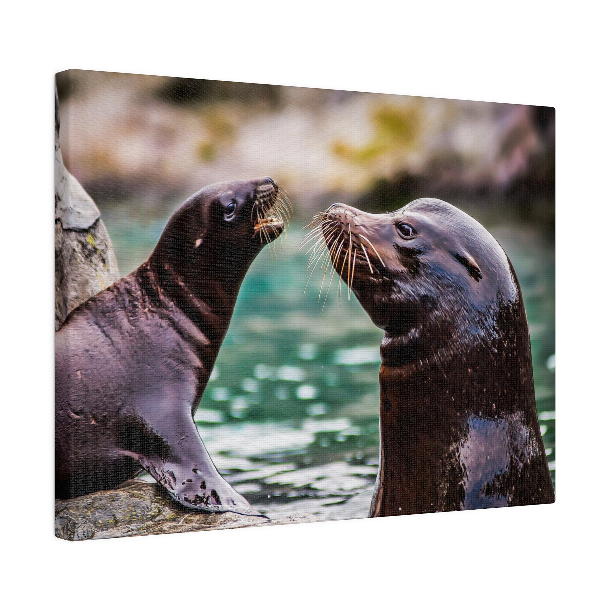 Playful sea lion antics near the water, with their whiskers and smooth fur highlighted. The scene captures their curious and social behavior.