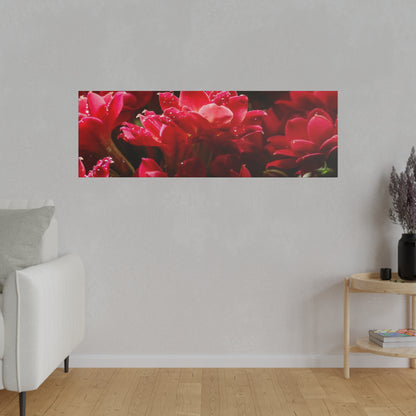 Rectangular wall art showing a close-up of red flowers with water droplets, mounted on a grey wall above a white sofa.