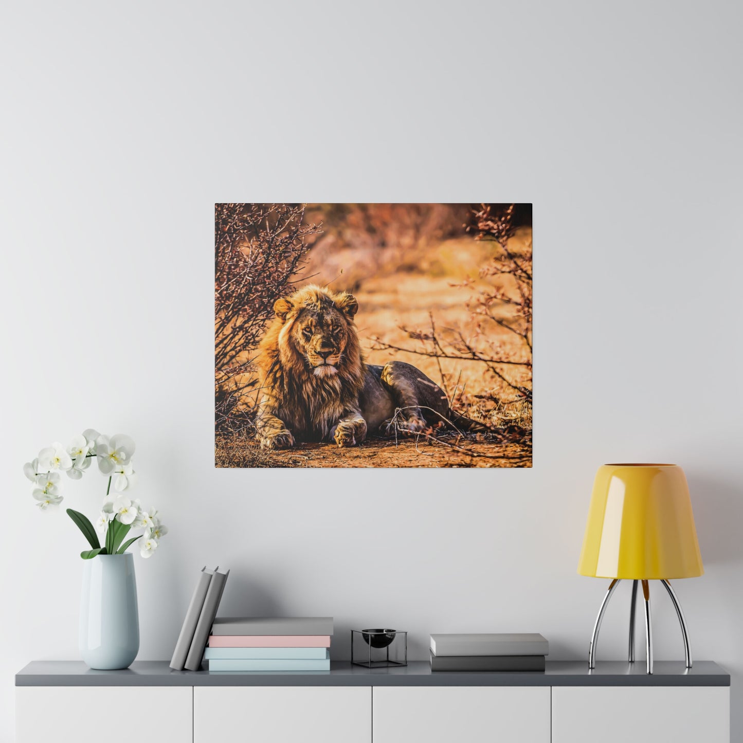 A lion resting in the African savannah, lying on the ground amidst dry bushes. The warm sunlight highlights the lion's impressive mane and strong features.