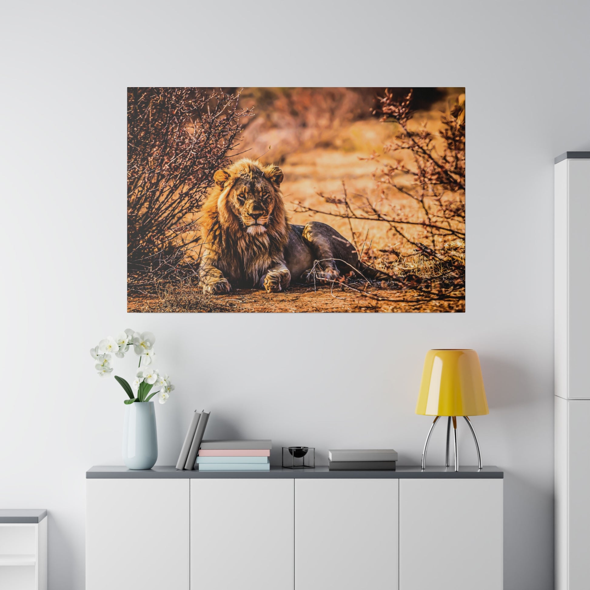 A lion resting in its natural environment, surrounded by dry terrain and bushes. The warm sunlight highlights the lion's impressive mane and serene expression.