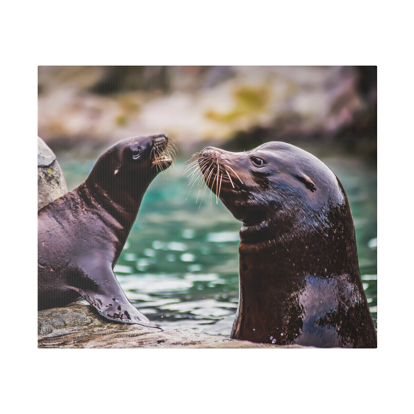 Sea lions playing in their aquatic playground, showcasing their whiskers and smooth fur. The scene captures their curious and social nature.