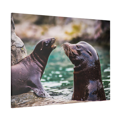 Two sea lions with whiskered faces face each other near rocks in turquoise water.