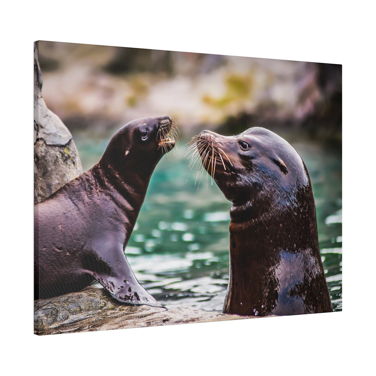 A close-up of two sea lions by the water, emphasizing their whiskers and smooth fur. The scene captures their playful and inquisitive interaction.