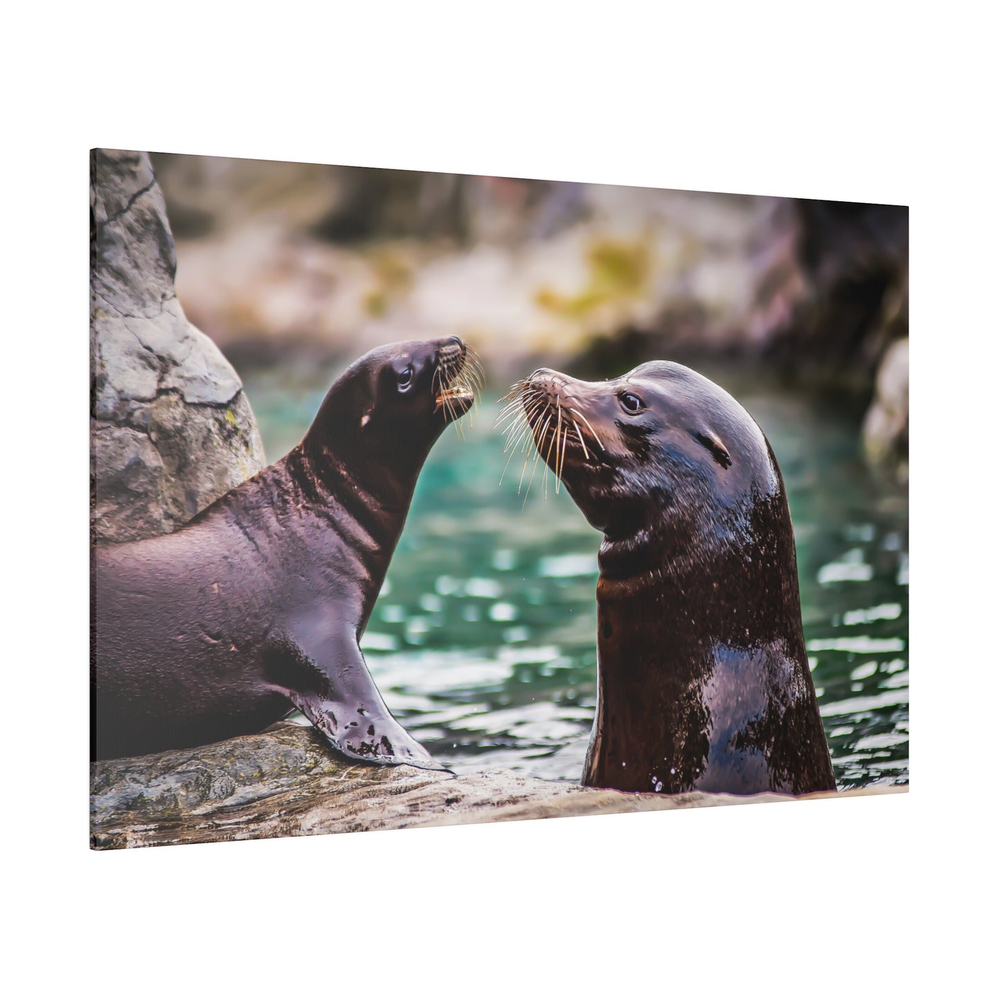 A buddy moment between sea lions by the water, with their whiskers and glossy fur prominently visible. The scene emphasizes their friendly interaction.