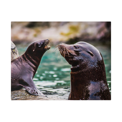 Two dark brown sea lions face each other on a rocky edge above green water, whiskers prominent.