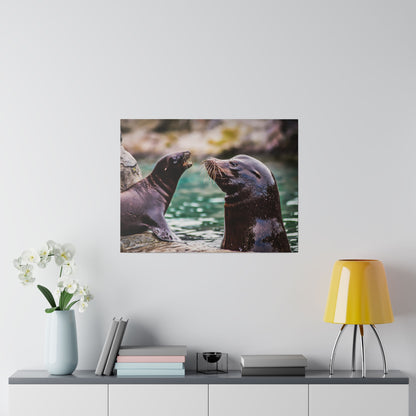 Two sea lions sit on rocks by green water, facing each other with prominent whiskers.