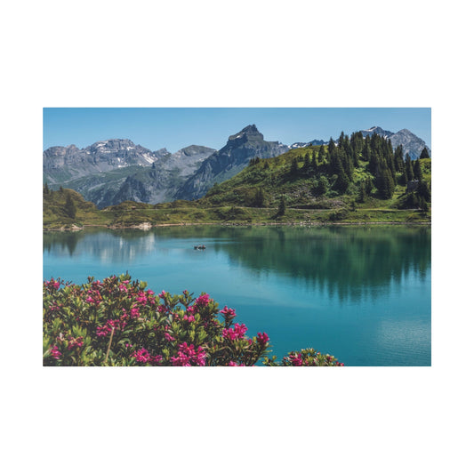 Alpine lake scene with blue-green water reflecting green hills, distant snow-capped mountains, and pink flowers in the foreground.