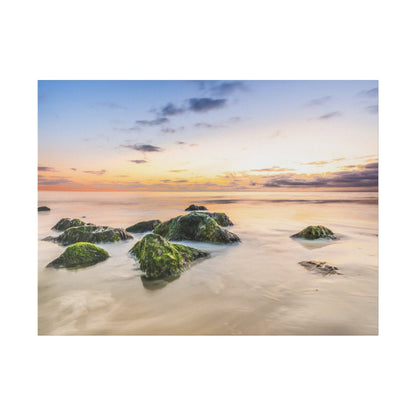 Smooth coastal scene with green mossy rocks protruding from shallow water at sunset.