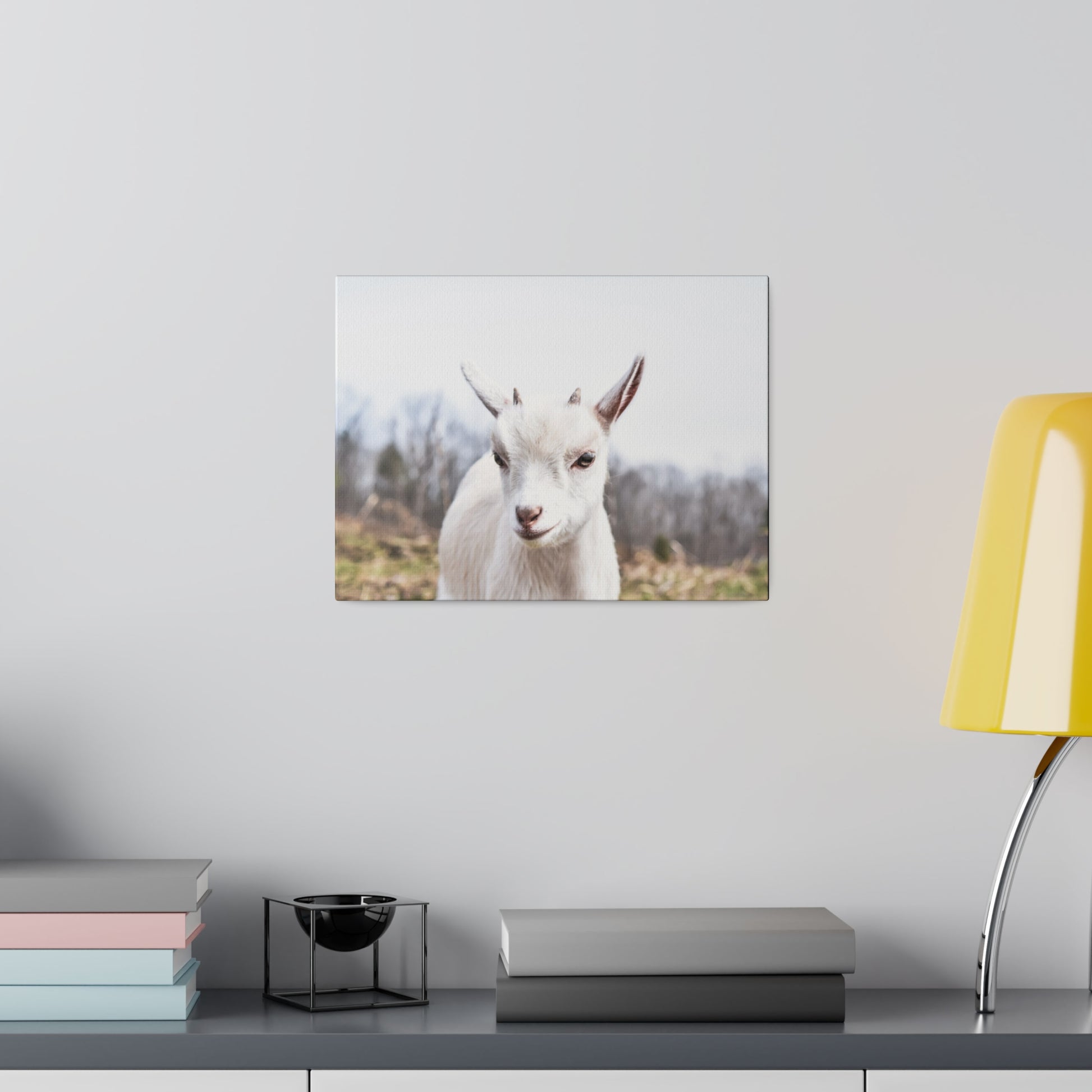 Framed wall art showing a close-up of a white goat with brown ears, standing in an outdoor field.