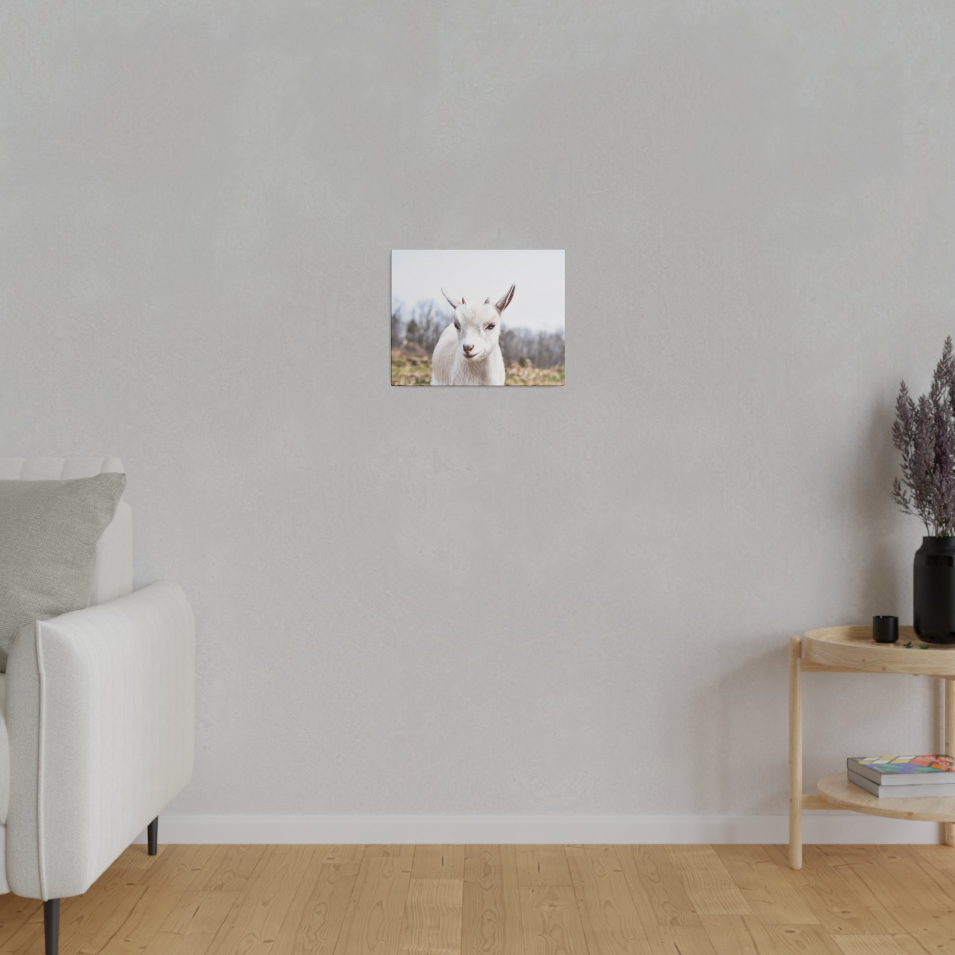 Small square photo of a white goat on a light gray wall, hung above a wooden floor.
