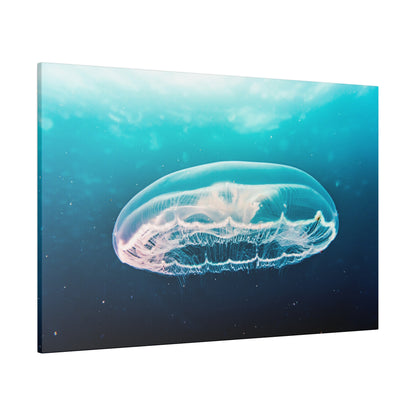 Transparent jellyfish with delicate tentacles glides in blue ocean water.