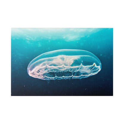 Translucent jellyfish with pink-tinged edges and trailing tentacles drifting in clear blue ocean water.