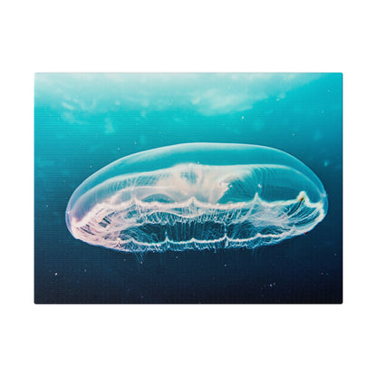 Transparent jellyfish with a rounded bell floats in turquoise-blue ocean water.