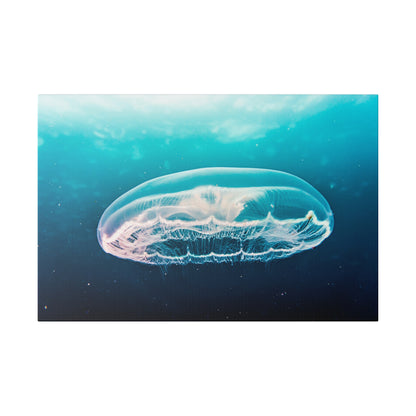 Transparent jellyfish with umbrella-shaped bell gliding in turquoise ocean water.