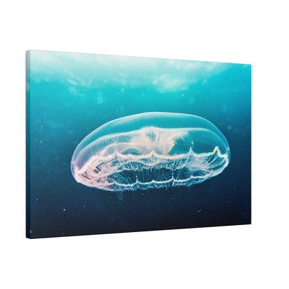 Translucent jellyfish floating in a blue underwater scene with trailing tentacles.