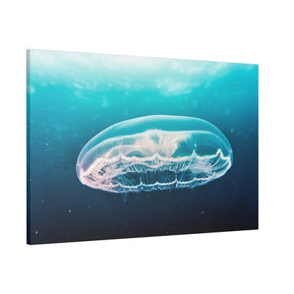 A translucent jellyfish gliding through a blue ocean, with a curved bell and trailing tentacles, pink-white highlights.