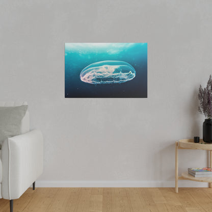 Rectangular wall art displaying a translucent jellyfish swimming in blue ocean, hung on a light gray wall.
