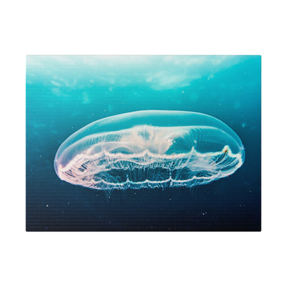 Translucent jellyfish with white tentacles hovering in bright blue ocean water.