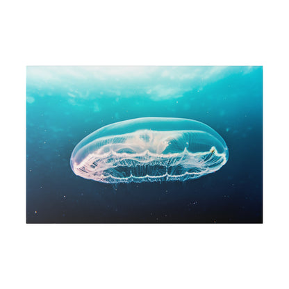Transparent blue jellyfish with trailing tentacles swimming in clear blue ocean water.