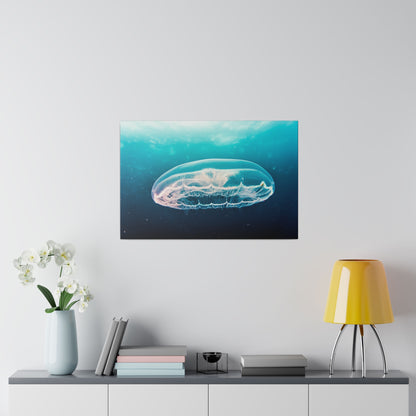 Framed underwater photograph of a translucent jellyfish in turquoise water, hung on a light wall above a cabinet with a vase, books, and a