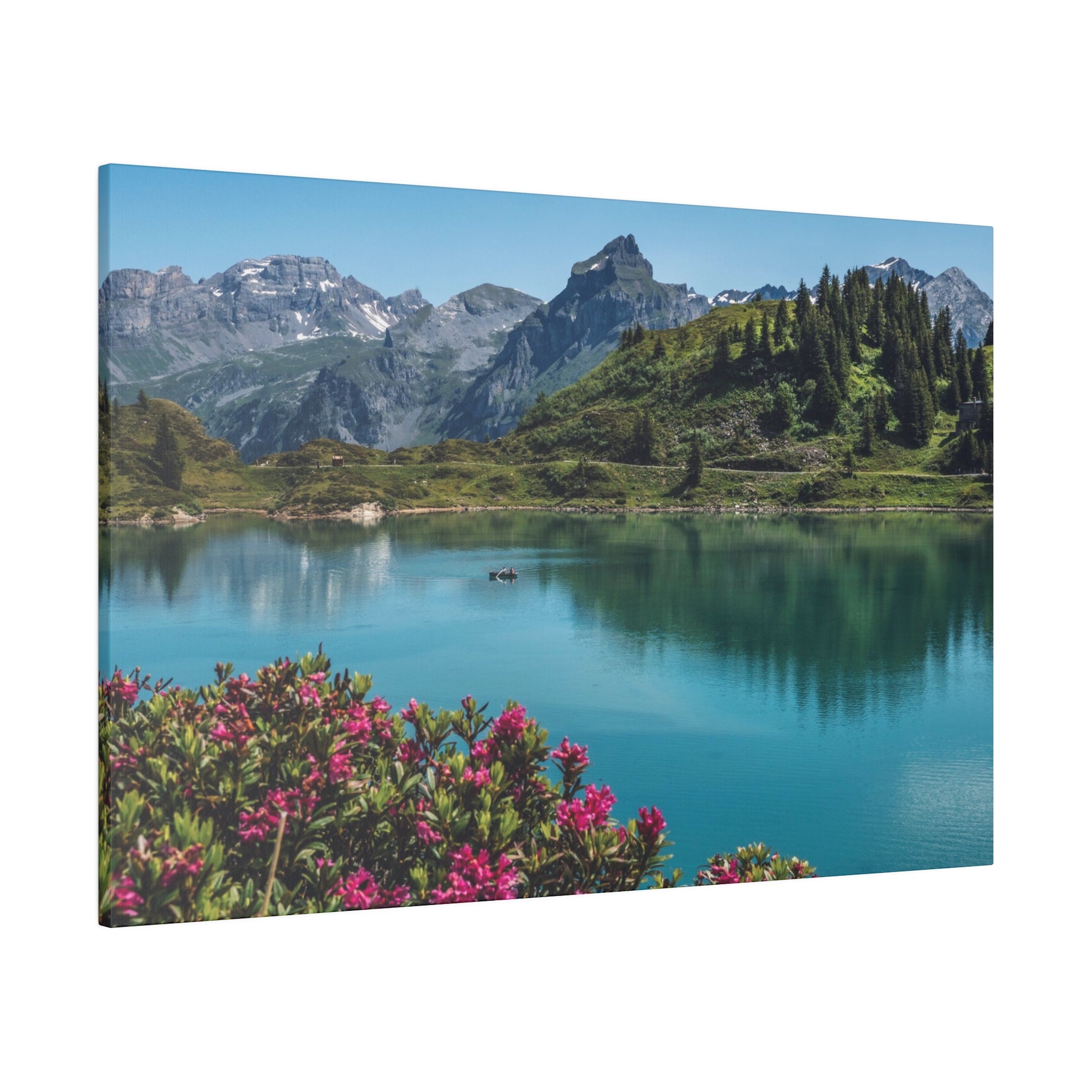 Turquoise alpine lake with pink flowers in the foreground, green hills, and snow-capped mountains reflected in the water.