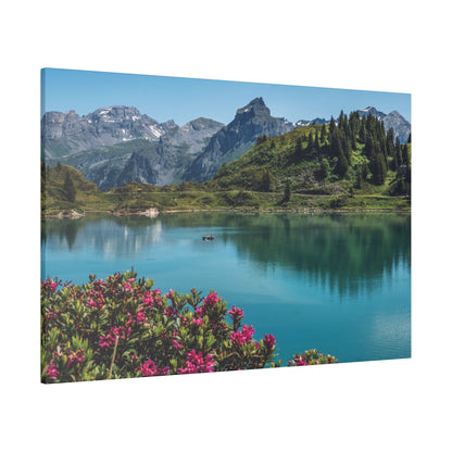 Turquoise alpine lake with pink flowers in the foreground, green hills, and snow-capped mountains reflected in the water.