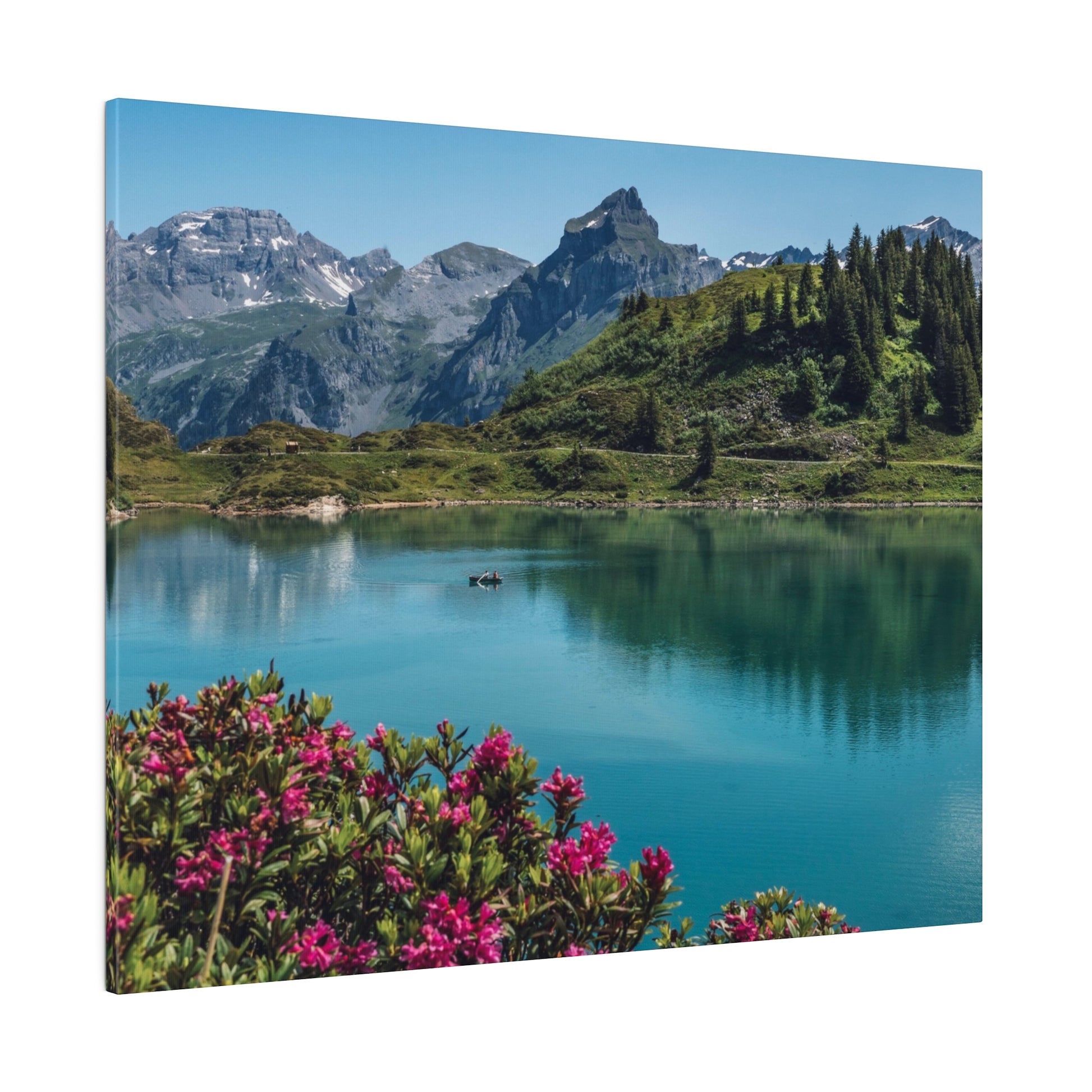 An alpine lake with turquoise water reflects green hills and snow-capped mountains, while pink flowering shrubs sit in the foreground.