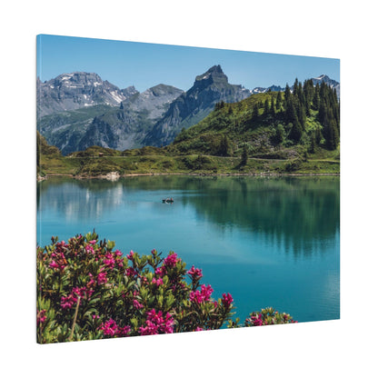 An alpine lake with turquoise water reflects green hills and snow-capped mountains, while pink flowering shrubs sit in the foreground.