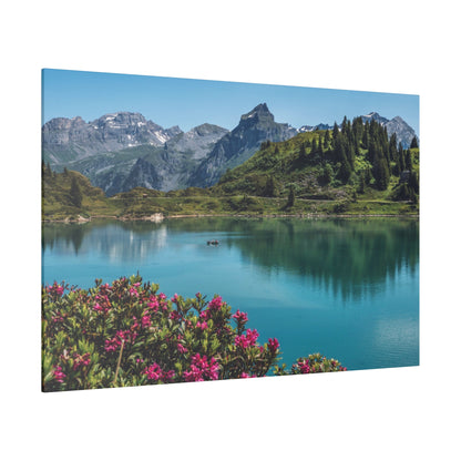 Alpine lake scene with turquoise water, pink flowers in the foreground, green hills, and snow-capped mountains in the distance.