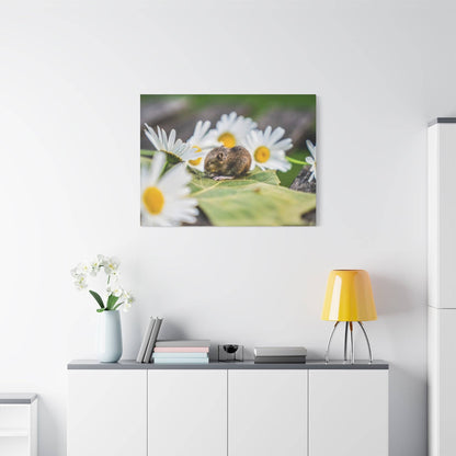 A photograph of a small brown mouse resting on a green leaf among white daisies.