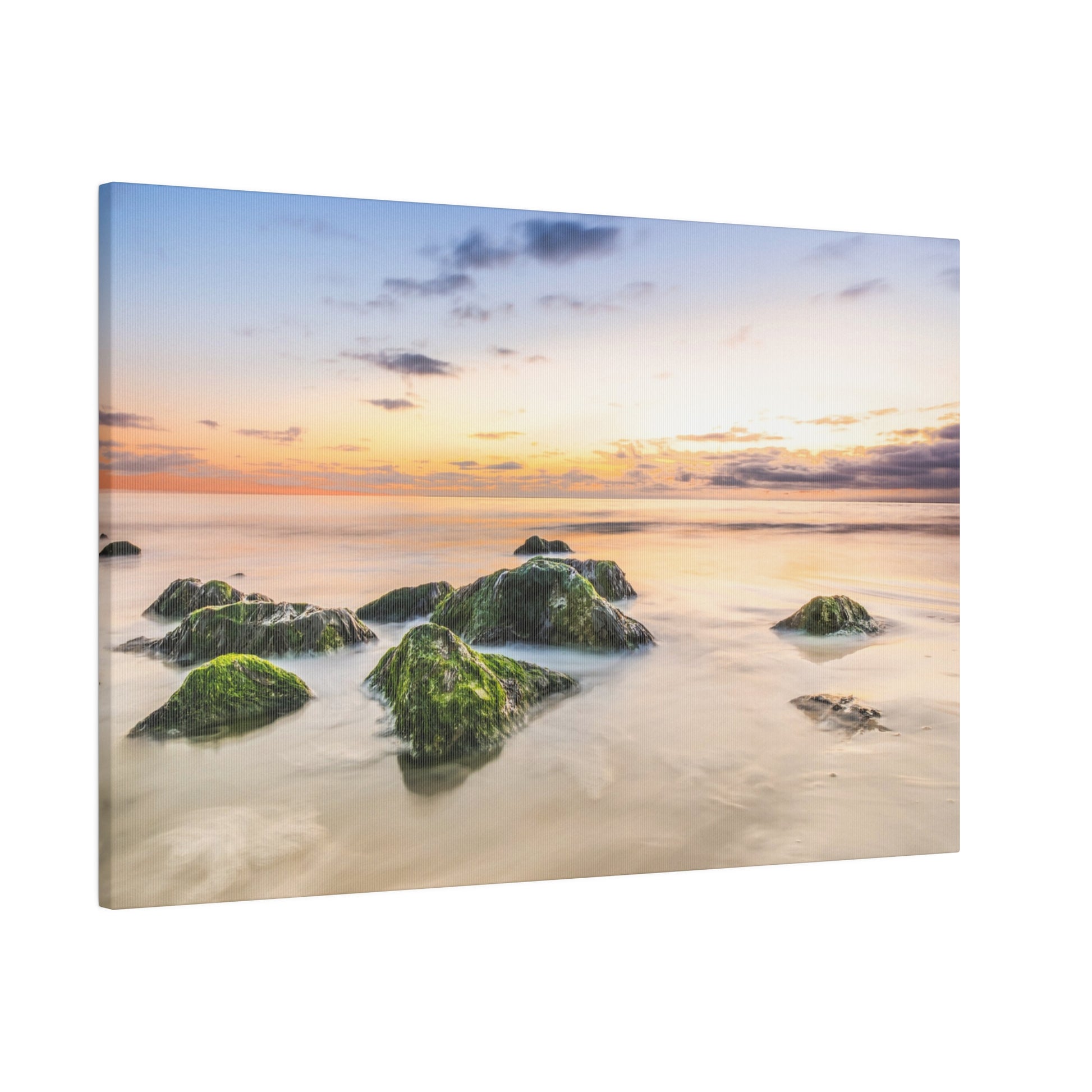 Green moss-covered rocks lie in shallow, calm water along a sunset beach.