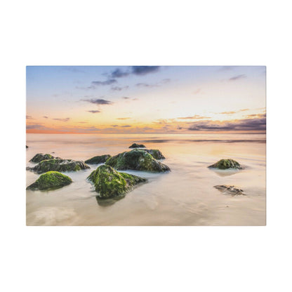 Sea rocks covered in green moss protruding from calm, pale water at sunset.