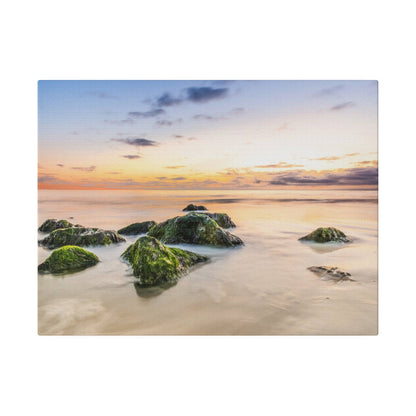 Rocky shoreline with moss-covered boulders in calm tidal water at sunset.