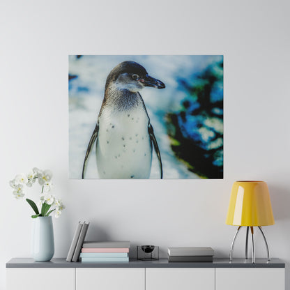Close-up photo of a penguin standing upright, showing a white belly with small black spots and a blue blurred background.