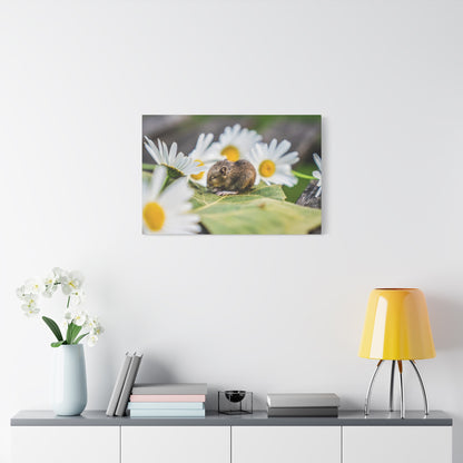 Small brown mouse resting on a green leaf surrounded by white daisies with yellow centers.