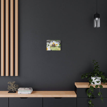 Dark gray wall with a light wood console and vertical slats, a small photo of a bee on daisies centered on the wall, and a potted plant on