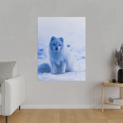 White Arctic fox sitting on snow with a pale blue background.