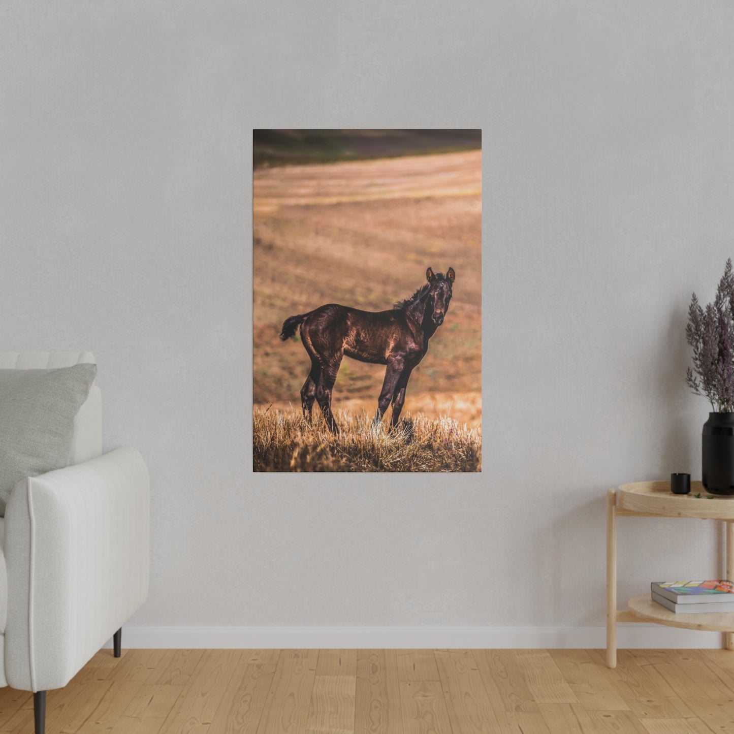 A solitary foal in an open field, captured in a moment of stillness with the autumn colors adding warmth to the scene.