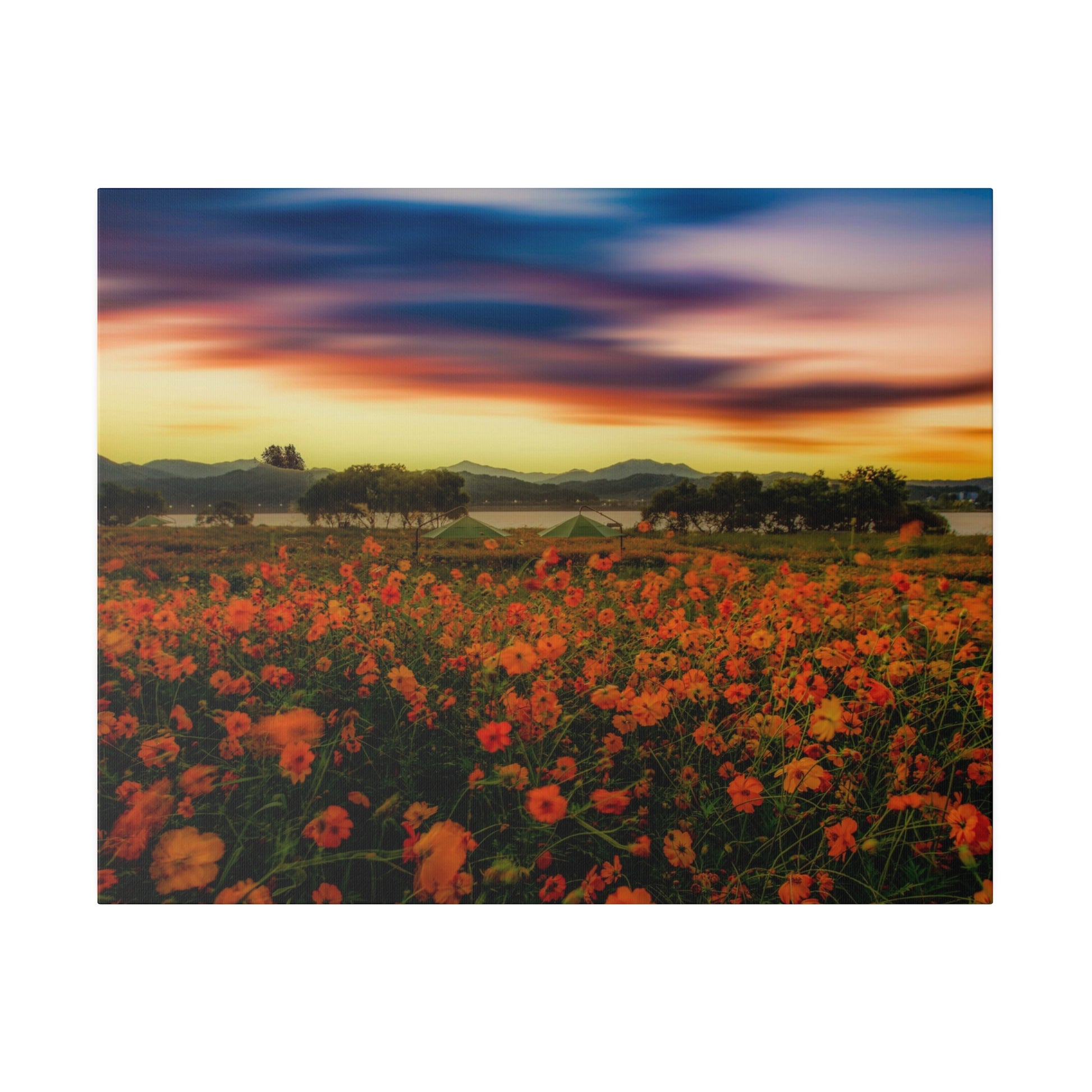Field of orange flowers in the foreground, tents by a lake, with distant mountains at sunset.