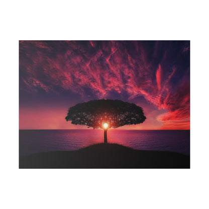 A lone tree on a grassy hill beside the sea at sunset, with the sun visible through the branches as red and purple clouds fill the sky.