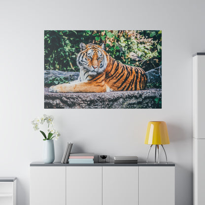 Photo of a lounging orange tiger with black stripes on a rock, printed as a wall-mounted canvas.