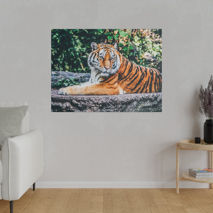 Canvas wall art of a resting orange tiger with black stripes on a rocky ledge, greenery in background.