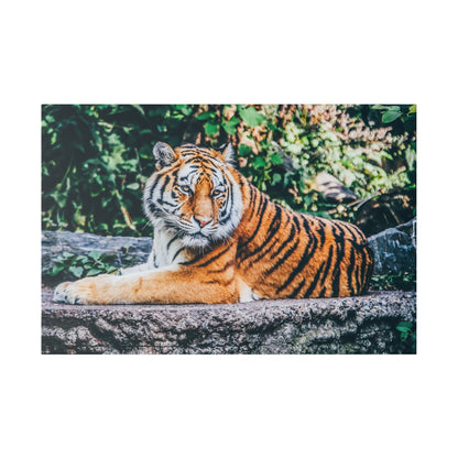 Wall-hanging canvas of a tiger lying on a rock ledge with orange fur and black stripes, green foliage in the background.