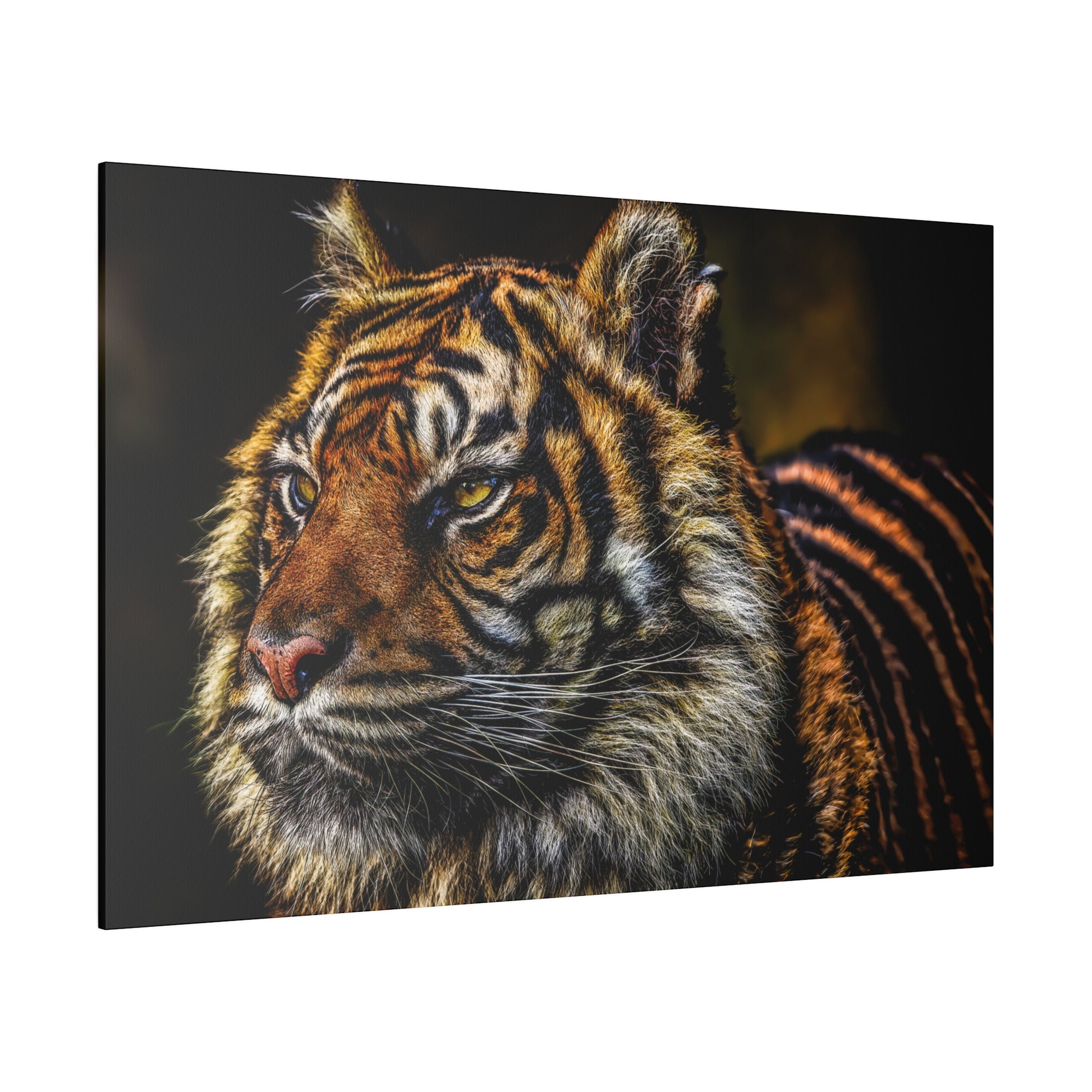 A focused gaze from a tiger captured in a close-up portrait, showcasing the detailed patterns of its fur and the intensity in its eyes.