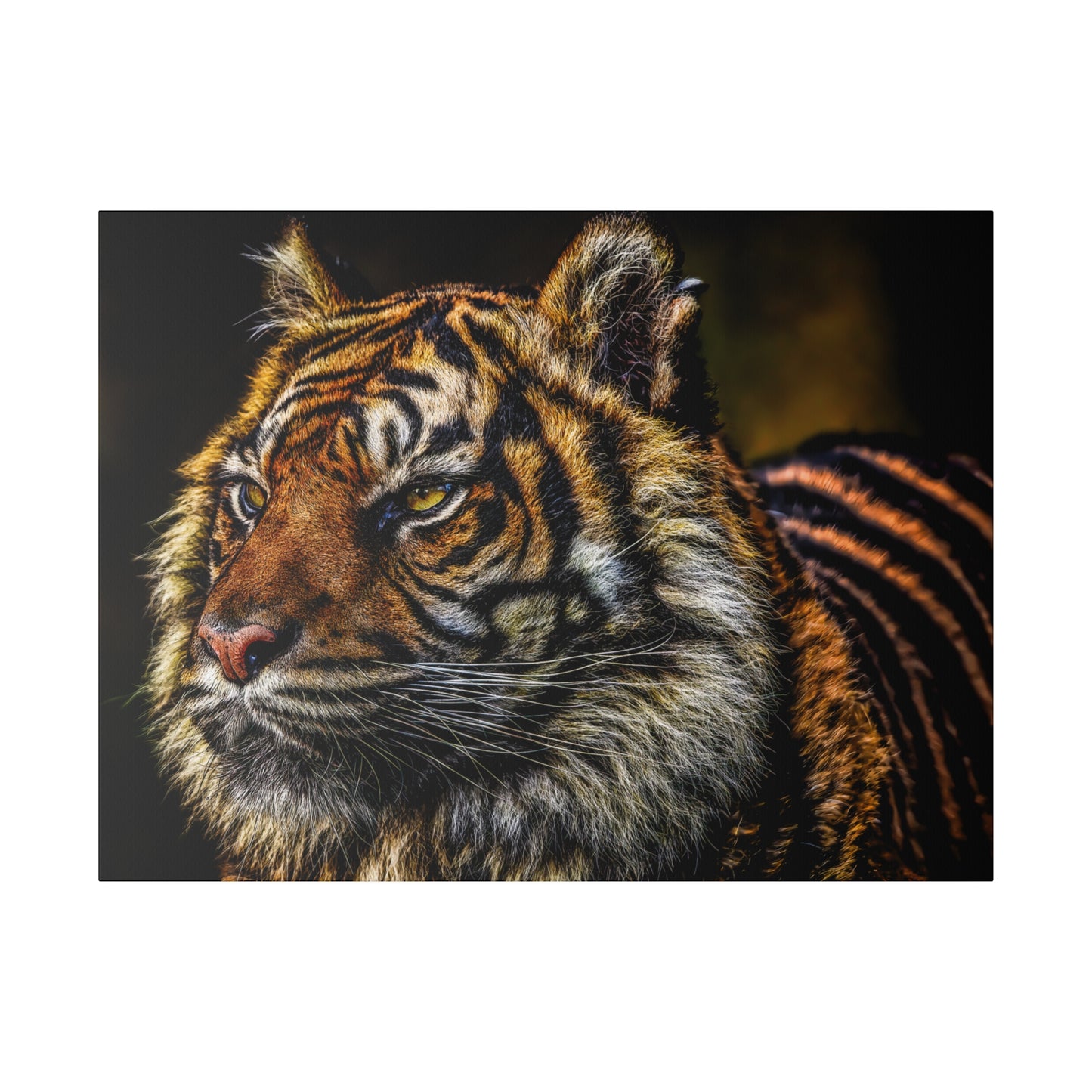 A close-up view of a tiger's face, highlighting the detailed patterns of its fur and the intensity in its eyes. The portrait captures the majestic presence of the tiger.