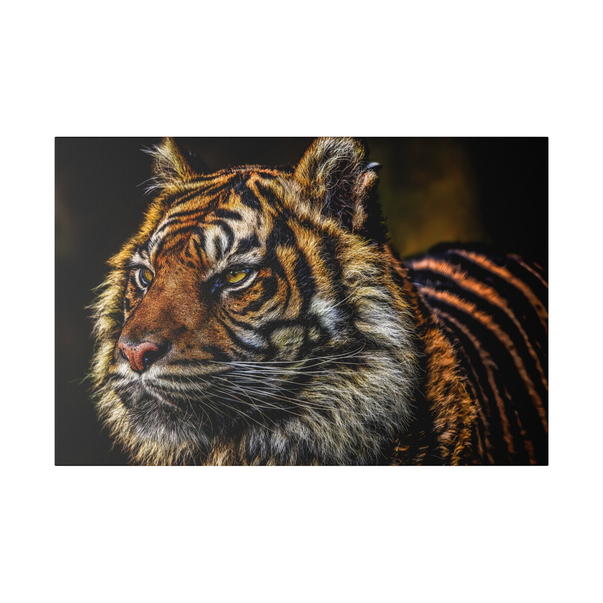 A detailed view of a tiger's gaze captured in a close-up portrait, showcasing the intricate patterns of its fur and the intense expression in its eyes.